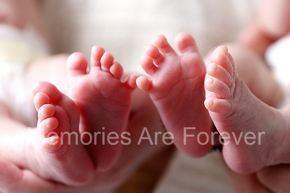 2A9A8732