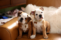 2A9A4861