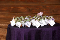 2A9A0029
