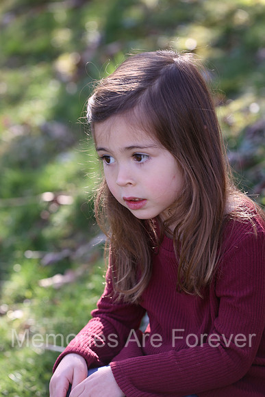 2A9A7344