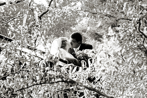 TCPR0585bw
