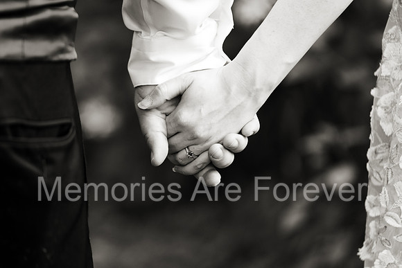 2A9A1046bw