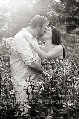 KJBL6335 bw