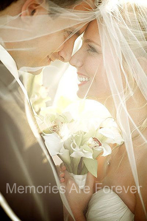 Veil Picture