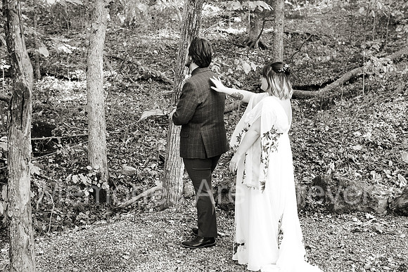 GU7A0078bw