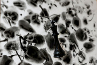 635B2949 chess 3