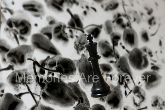 635B2949 chess 3