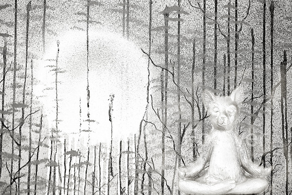 635B3489 budda cat bw