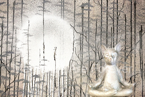 635B3489 budda cat