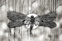 635B3488 dragon fly bw