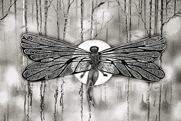 635B3488 dragon fly bw