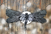635B3488 dragon fly
