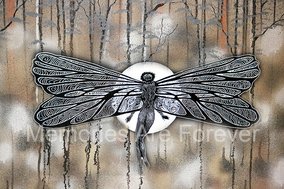 635B3488 dragon fly