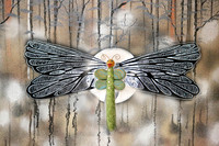 dragonfly finished