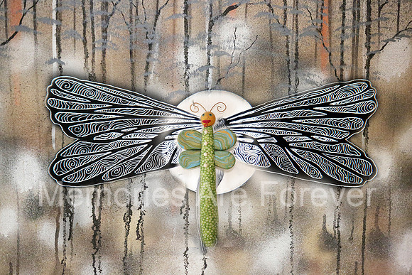 635B3488 dragon fly 12