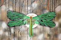 635B3488 dragon fly 121 c