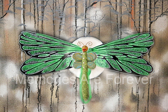 635B3488 dragon fly 121 c
