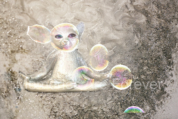 635B3515 budda kitty bubbles