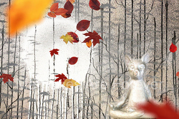 635B3489 budda cat leav