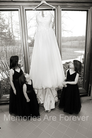 2A9A0838bw