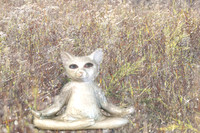 635B5541 budda kitty 39