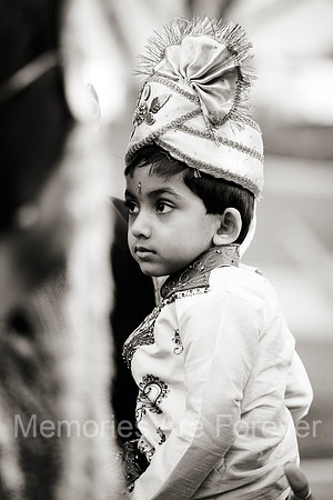_MG_6376fx