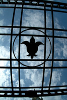 DSCF0003