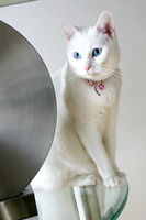 IMG_0156 fb1