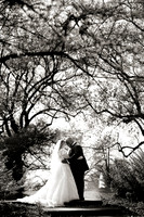 1P0A6545 bw