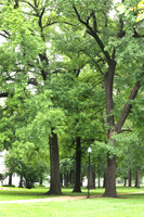 ECH Campus